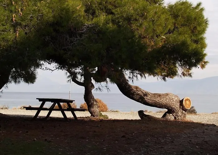 Διαμέρισμα Με Θέα Στον Πευκιά