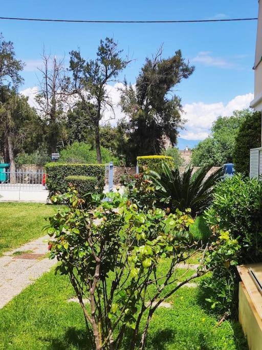 με θέα στον πευκιά Апартаменты Sykia (Corinthia)