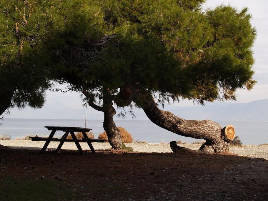 με θέα στον πευκιά *